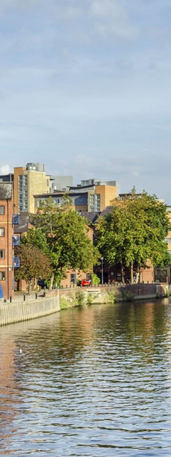 istock000056135274large-26